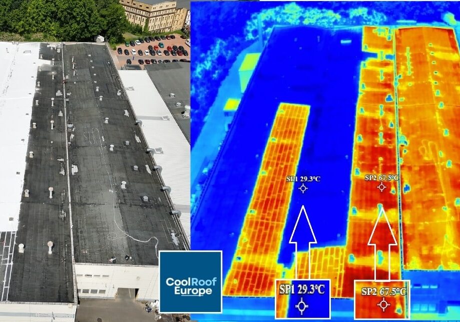 WhatsApp-Kuva 2025-08-07 klo 16.57.56_21d67b82